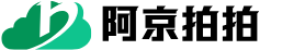 阿京拍拍(北京)拍卖有限公司